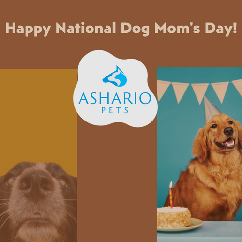 Celebrate National Dog Mom's Day at Ashario Pets Store