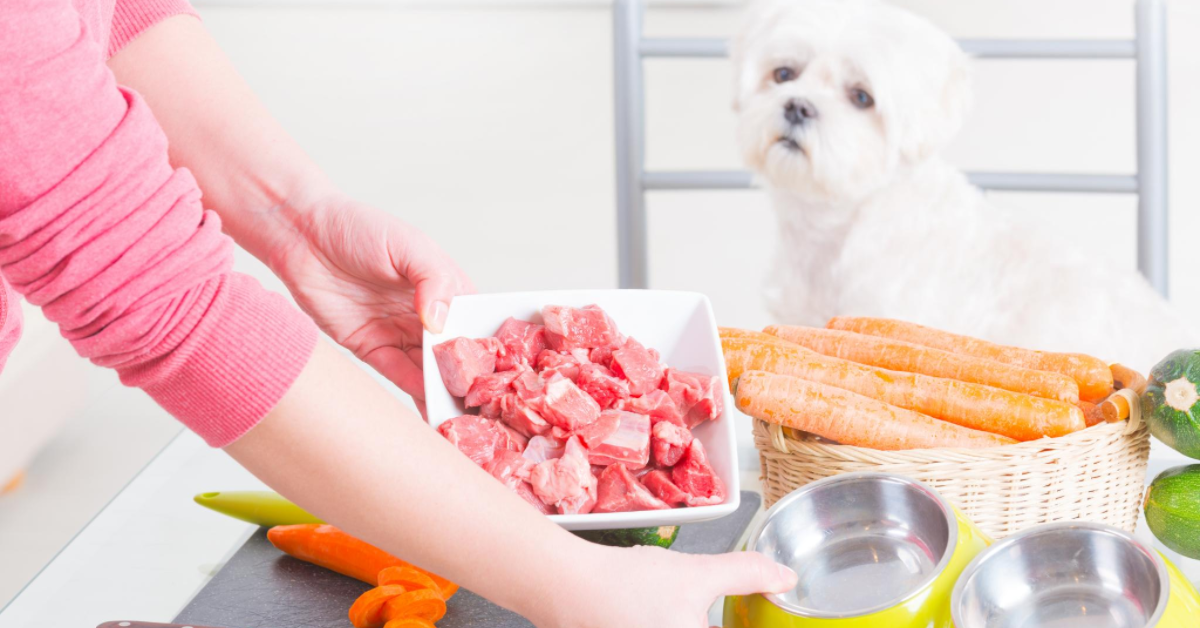 Navigate the world of pet nutrition confidently with our comprehensive guide. Learn how to select the perfect type of food for your furry friend's health and happiness, ensuring optimal nutrition and vitality.