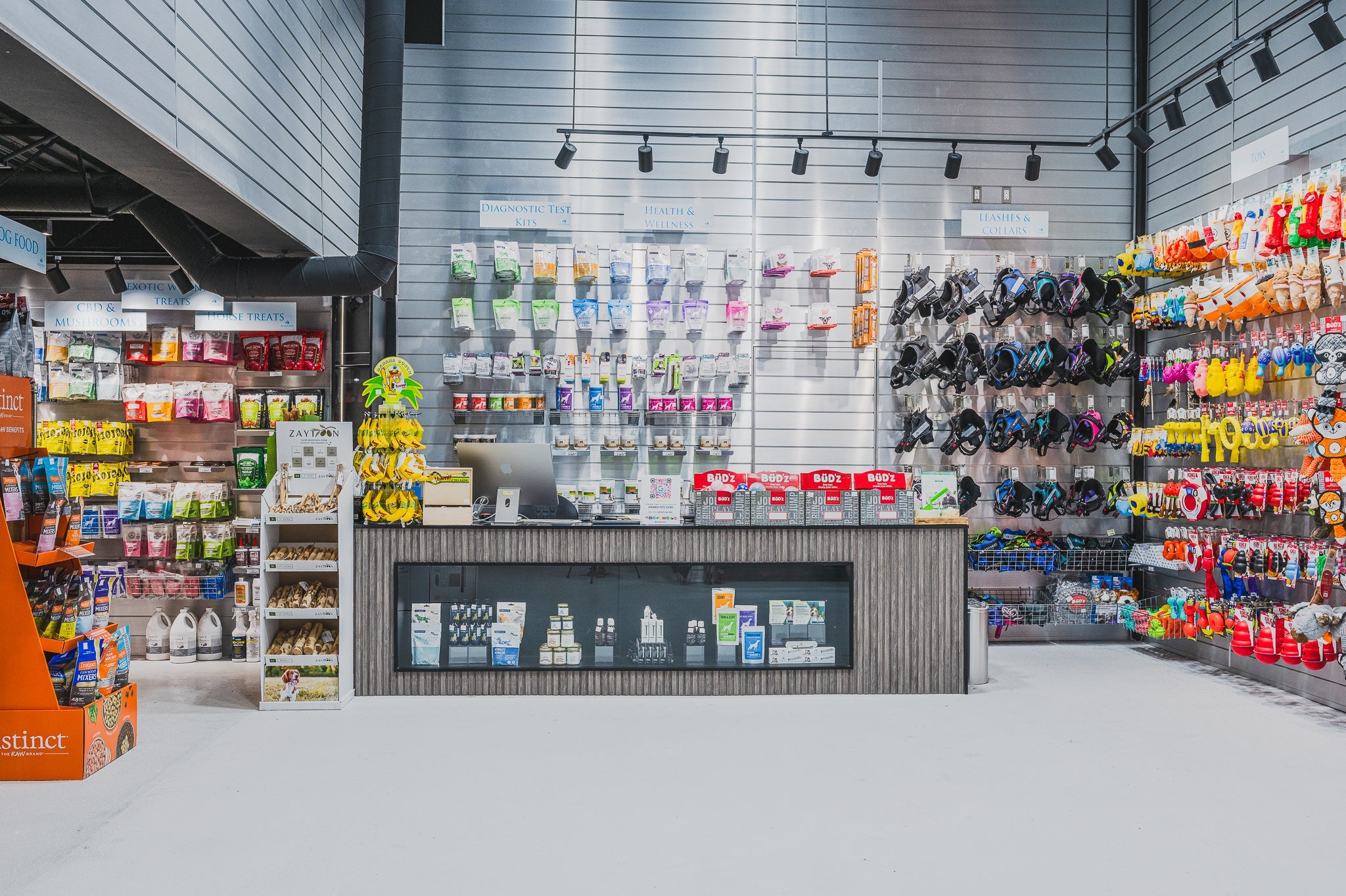 Dog Dental Care: Brushing vs Dental Chews vs Water Additives | Ashario Pets