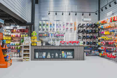 Cat Dental Care: Brushing vs Dental Treats vs Water Additives | Ashario Pets