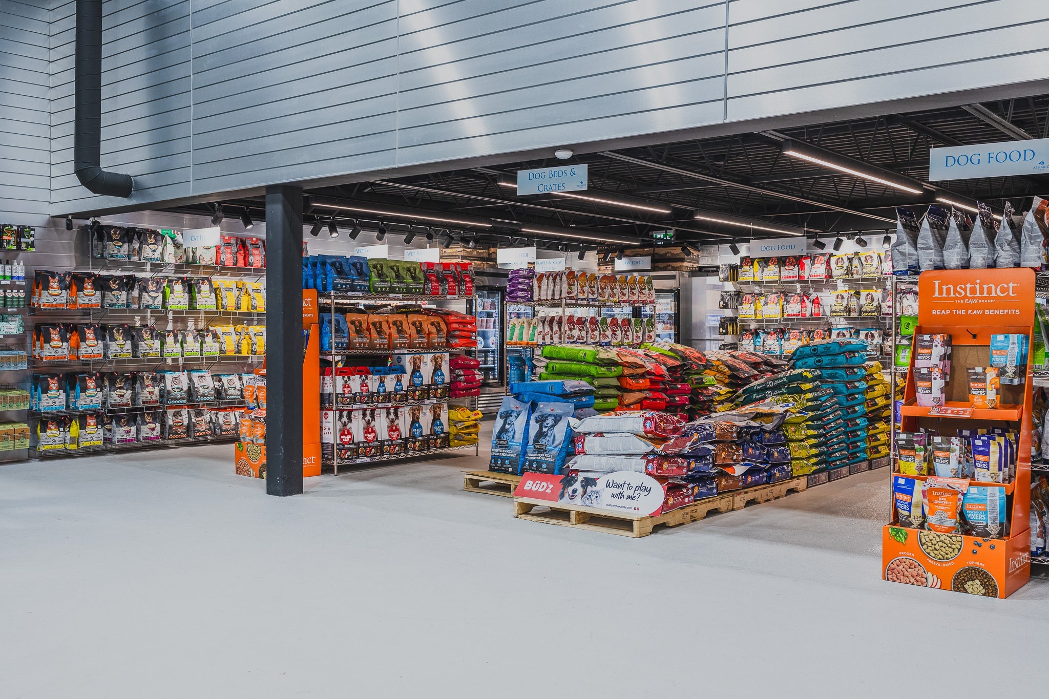 Hairball Control for Cats: Causes, Prevention & What Helps | Ashario Pets