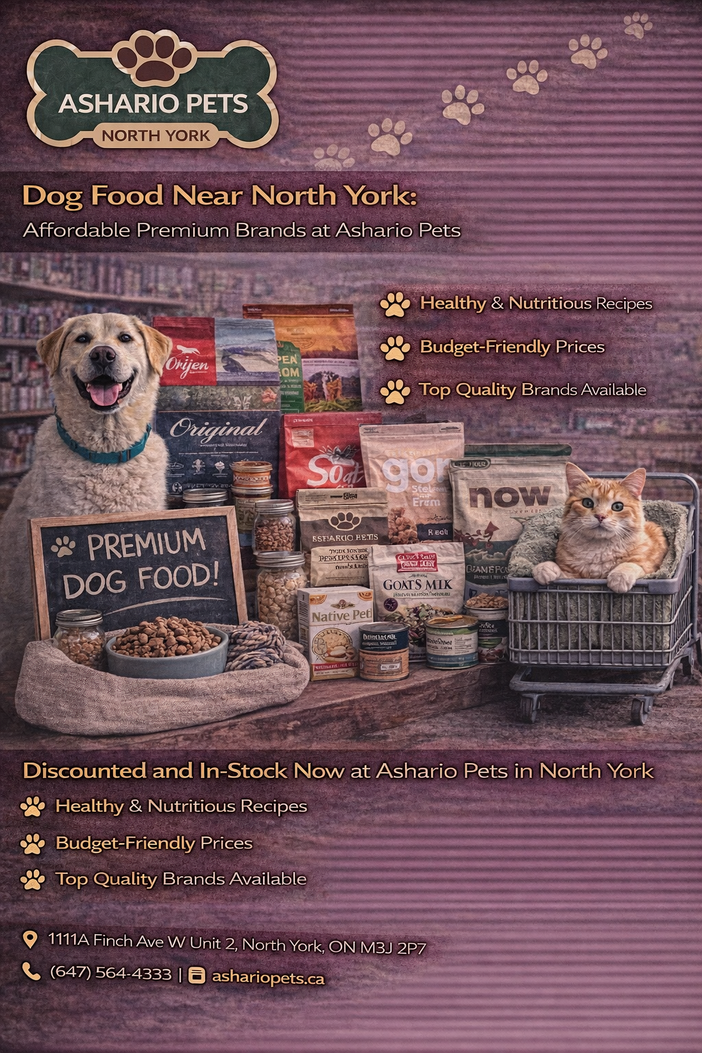 Dog Food Near North York: Affordable Premium Brands at Ashario Pets