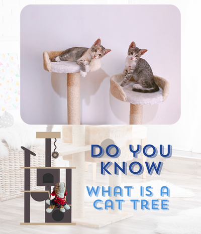 Elevate Your Cat's Playtime with Cat Trees
