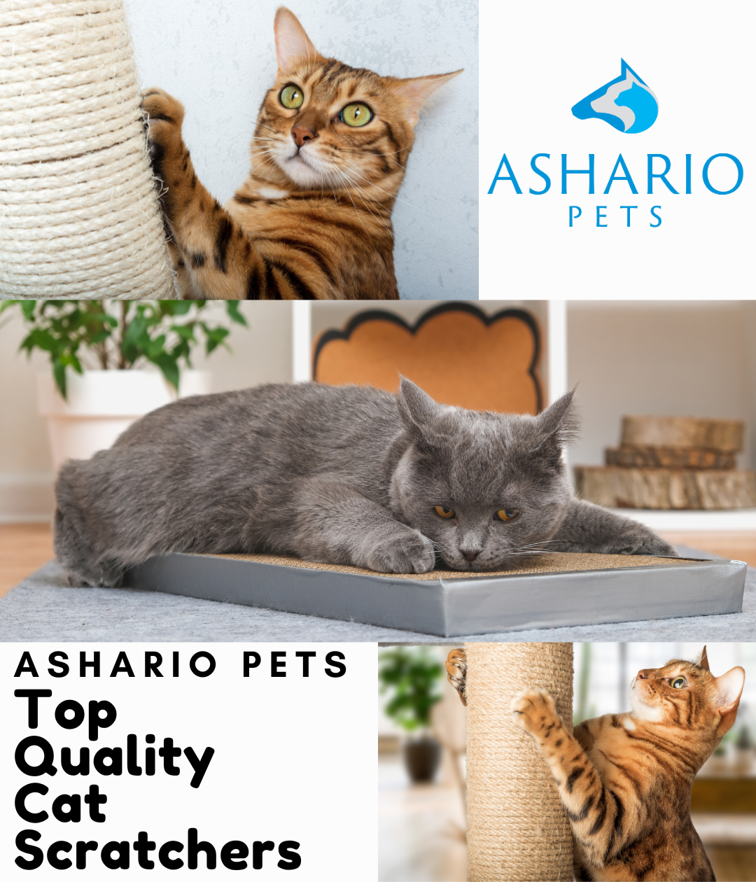 Our extensive pet store inventory includes a variety of scratchers designed to satisfy your feline's natural instincts while providing them with hours of entertainment. 