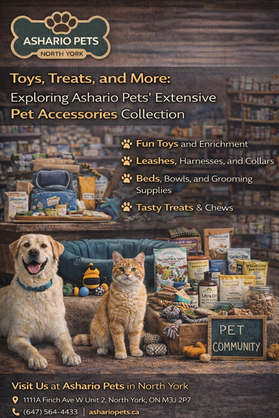 Toys, Treats, and More: Exploring Ashario Pets Extensive Pet Accessories Collection
