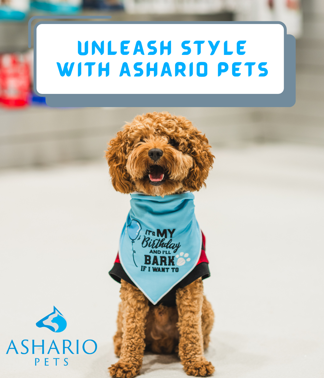 Discover a wide range of small animal accessories on Finch Avenue at our specialized store. Trust us for expert advice and premium products for your pets.