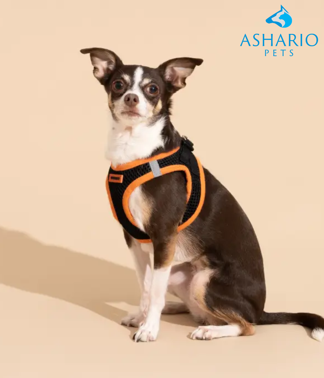 Learn how to measure your dog for a perfectly fitting harness with AsharioPets' guide, ensuring comfort and safety during walks. Explore their selection of quality harnesses and pet supplies in North York or online.