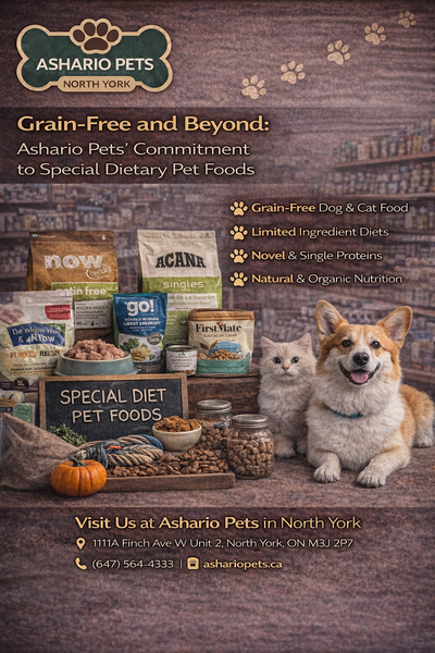 Grain-Free and Beyond: Ashario Pets Commitment to Special Dietary Pet Foods