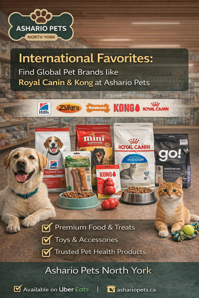 International Favorites: Find Global Pet Brands like Royal Canin & Kong at Ashario Pets