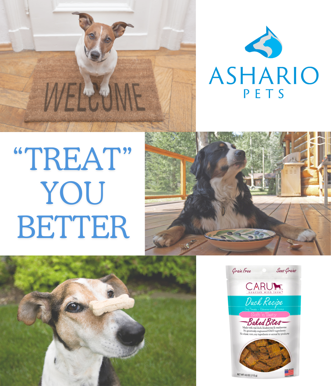 Discover irresistible dog treats at Ashario Pets, your go-to pet store in North York. Our extensive inventory includes premium dog treats made with organic ingredients