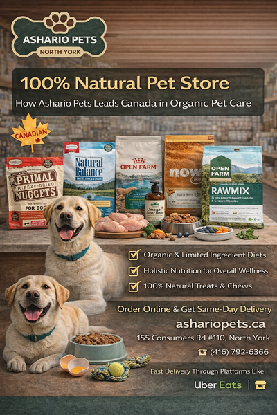 100% Natural Pet Store: How Ashario Pets Leads Canada in Organic Pet Care
