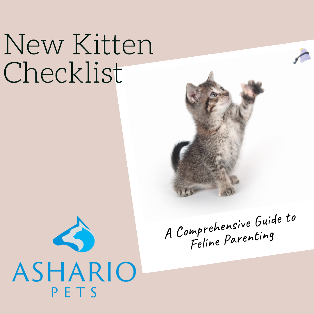 New Kitten Check List: Comprehensive Guide to Feline Parenting ...