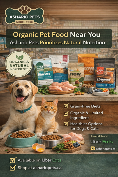 Organic Pet Food Near You: How Ashario Pets Prioritizes Natural Nutrition