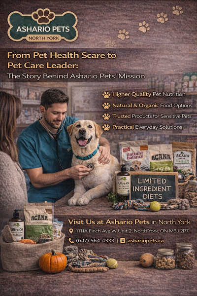 From Pet Health Scare to Pet Care Leader: The Story Behind Ashario Pets Mission