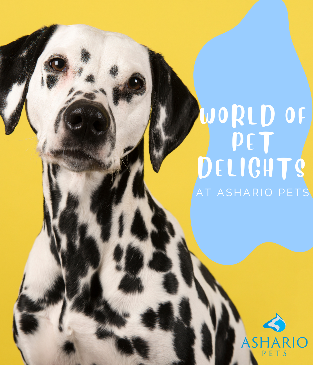 Discover North York's premier pet store, offering a wide range of pet supplies and organic pet food options. Trust us for top-notch pet care and personalized service.