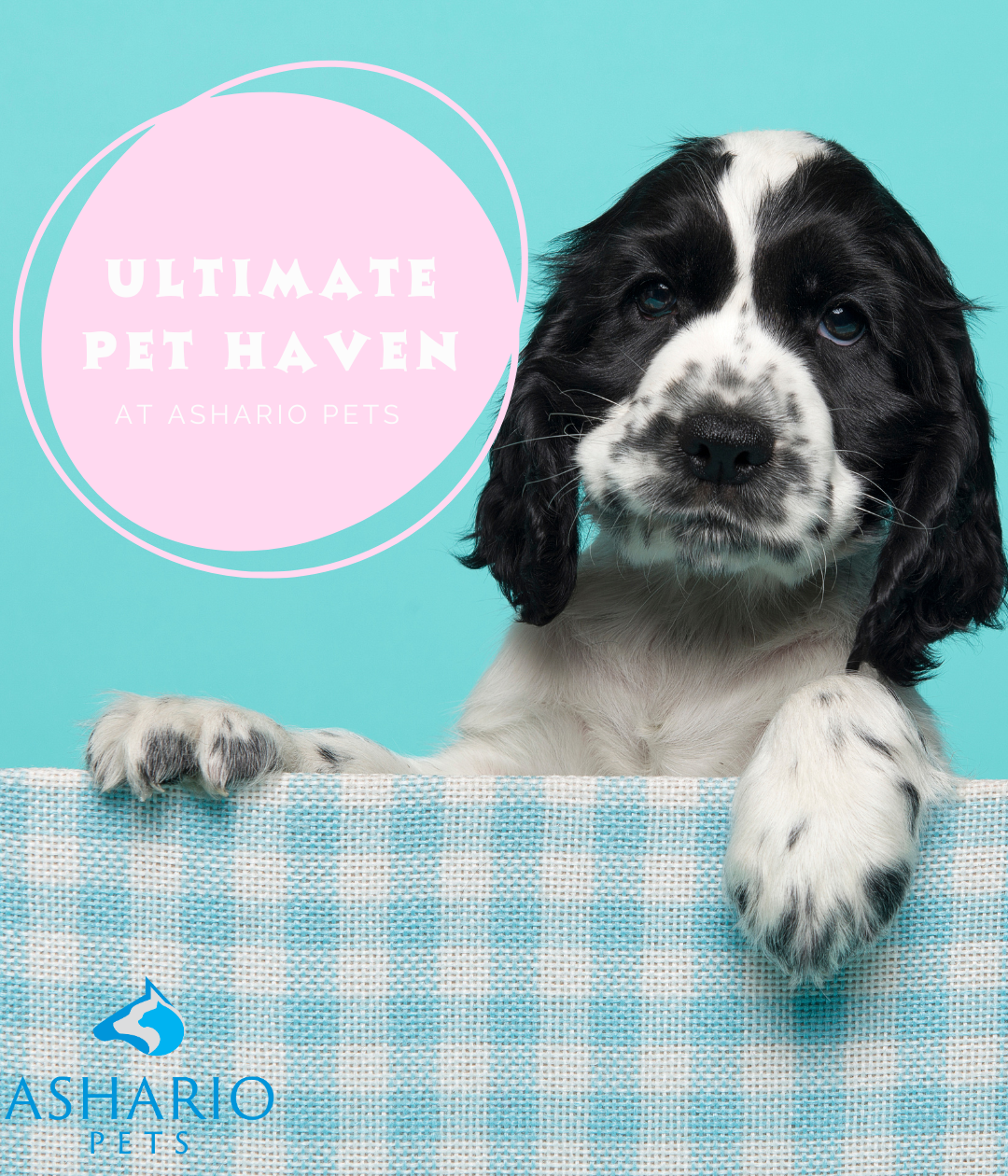 Visit our pet store on Finch Avenue for premium pet supplies and organic pet food options. With our convenient location and affordable prices, we make pet care accessible to all.