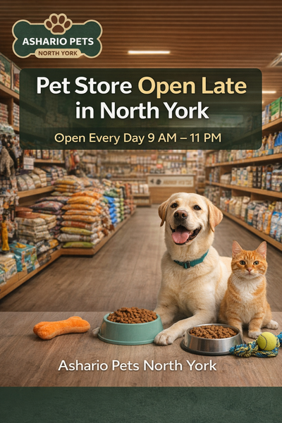 Pet Store Open Late in North York: Ashario Pets Serves You 365 Days a Year