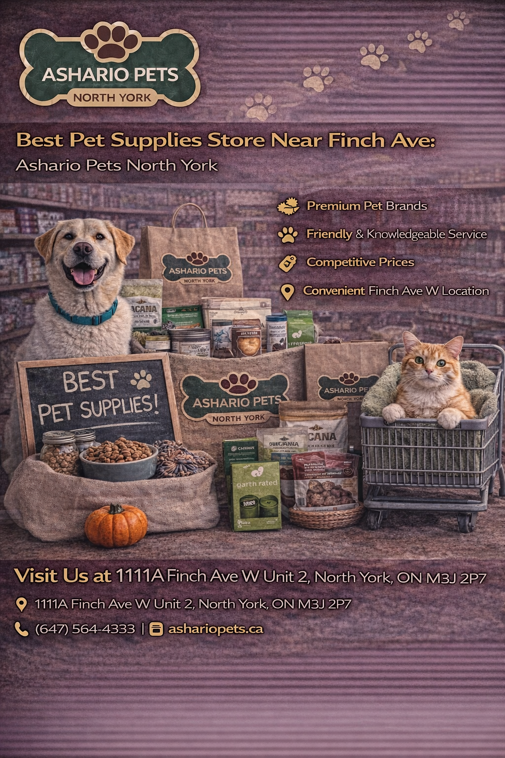 Best Pet Supplies Store Near Finch Ave: Ashario Pets North York