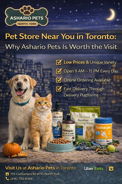 Pet Store Near You in Toronto: Why Ashario Pets Is Worth the Visit