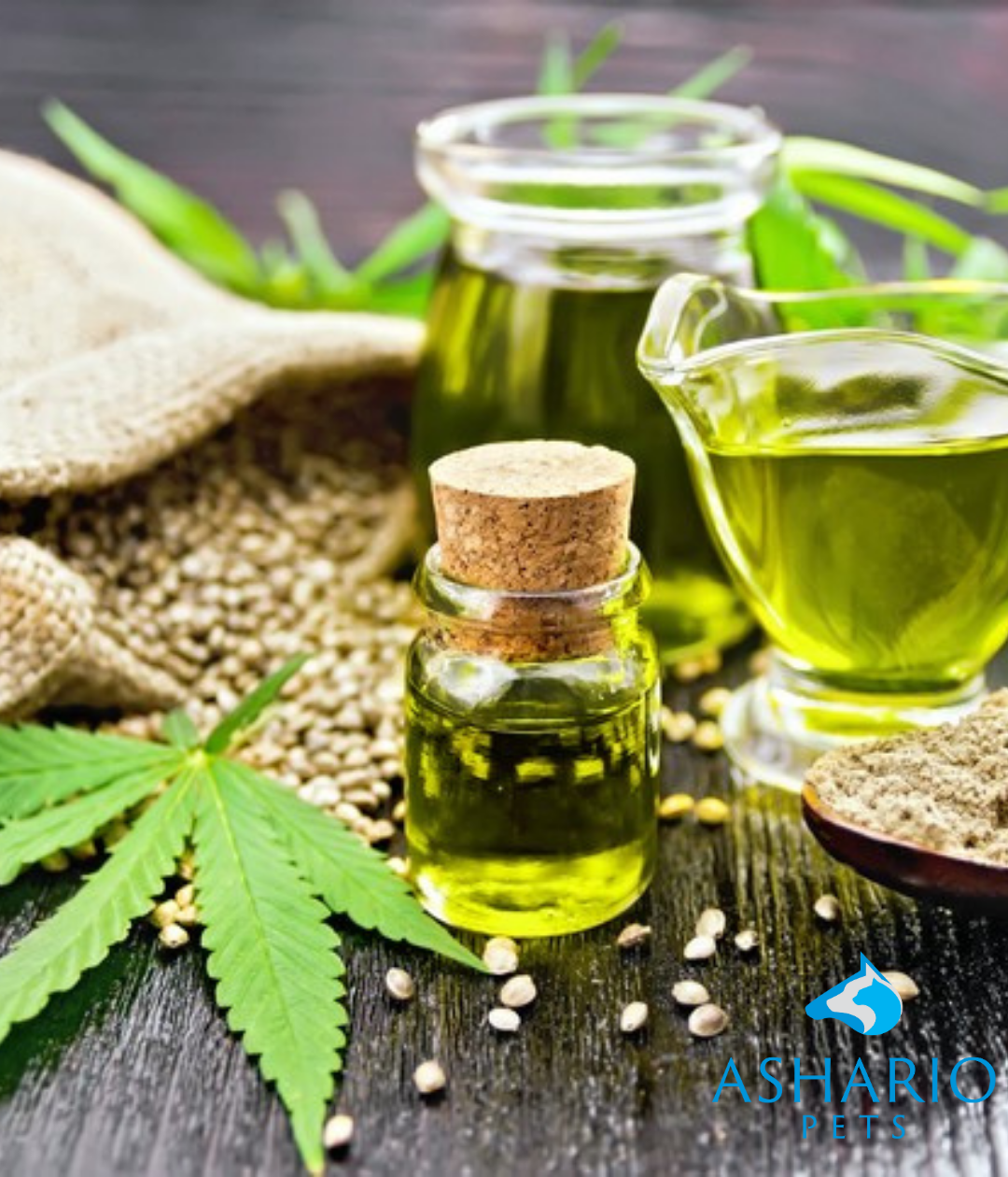 At Ashario Pets, we offer premium hemp oil formulated specifically for cats, providing a natural and beneficial supplement to support their overall health and well-being.