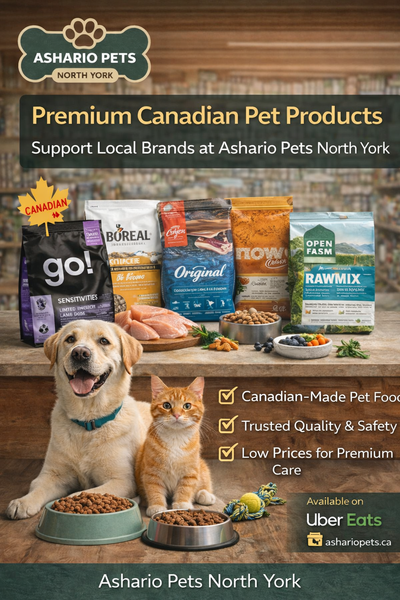 From Dogs to Horses: Ashario Pets Has Supplies for All Your Pets Under One Roof