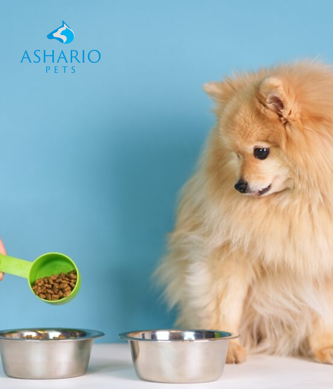  Discover top pet nutrition at our store, featuring organic pet food, fresh dog food, and premium dog bones. We support local farmers and prioritize freshness in every ingredient.