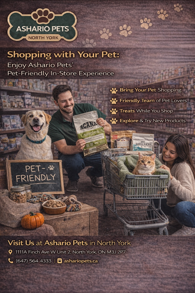 Shopping with Your Pet: Enjoy Ashario Pets Pet-Friendly In-Store Experience