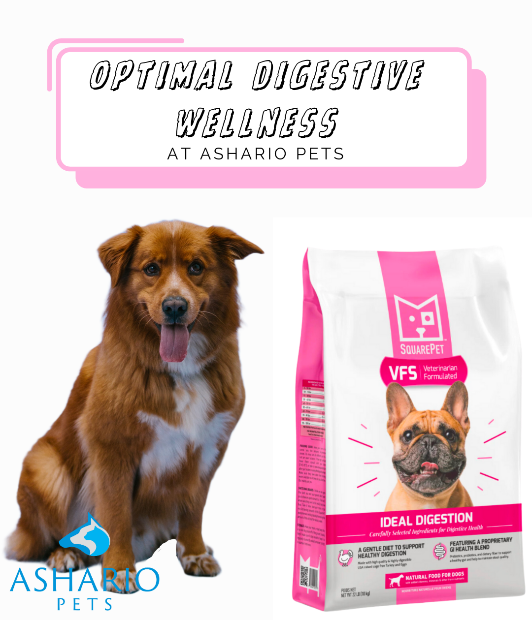 Discover SquarePet ideal digestion dog food at Ashario Pets, your trusted pet store in North York. Alongside premium pet supplies, we offer guidance on pet care, including puppy potty training and teething support.