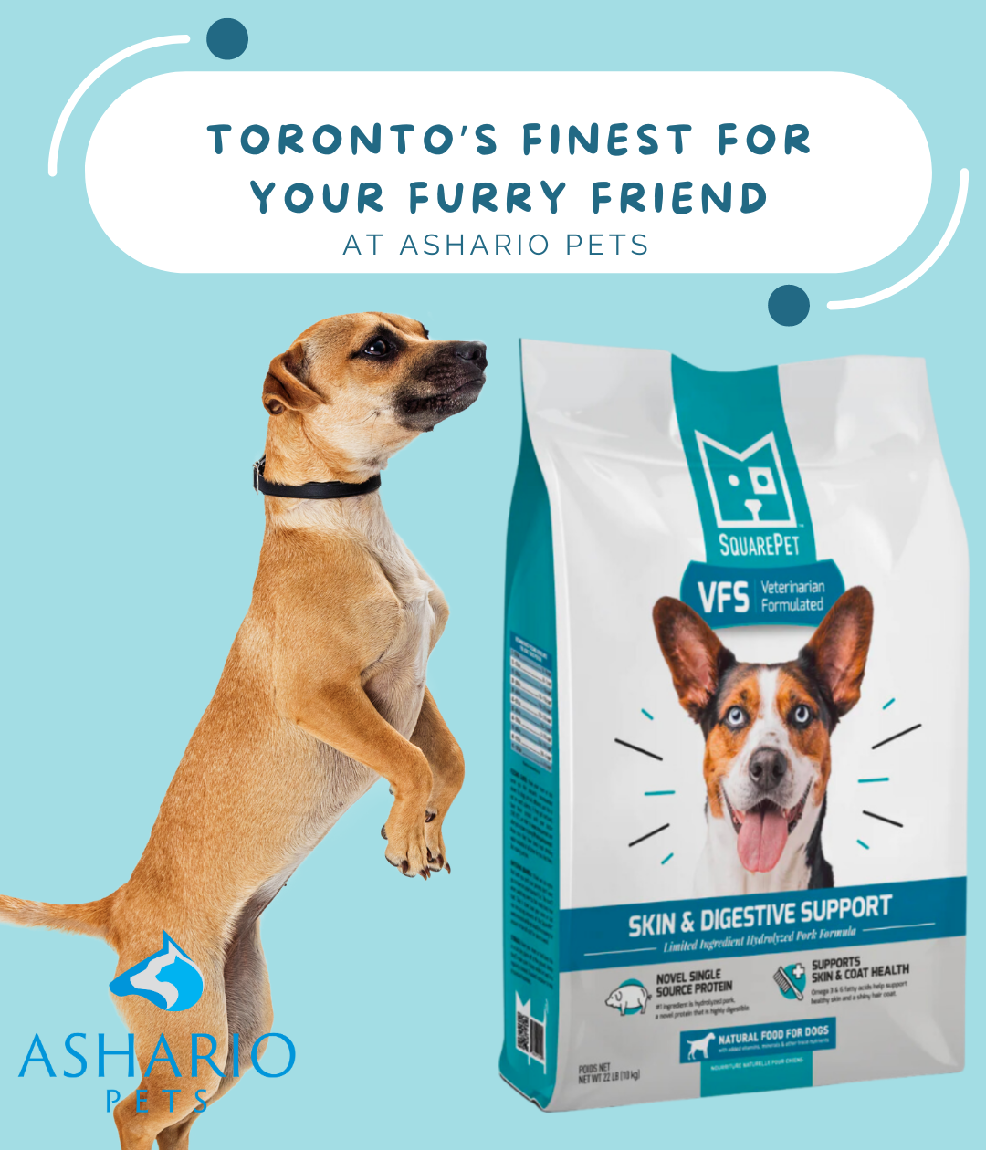 Support your pet's skin and digestive health with SquarePet skin & digestive support dog food from Ashario Pets in North York. Explore our range of premium pet supplies and expert advice for your pet's well-being.