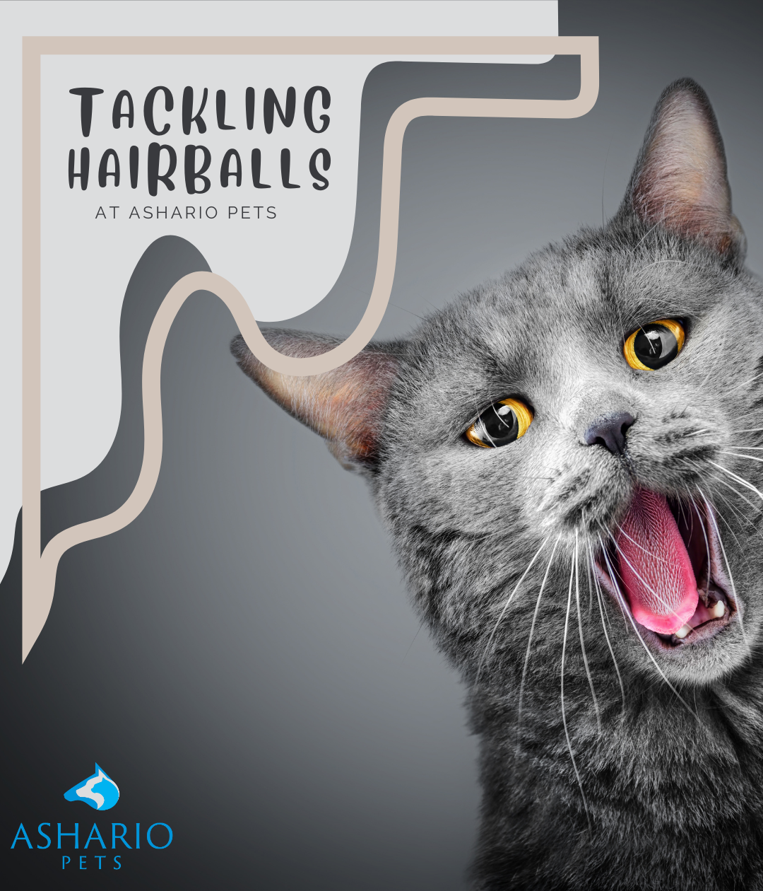 Ashario Pets in North York provides solutions for tackling hairballs, a common issue among cats. Our diverse pet store inventory includes premium cat food options, such as raw cat food and wet cat food, aimed at reducing hairball formation