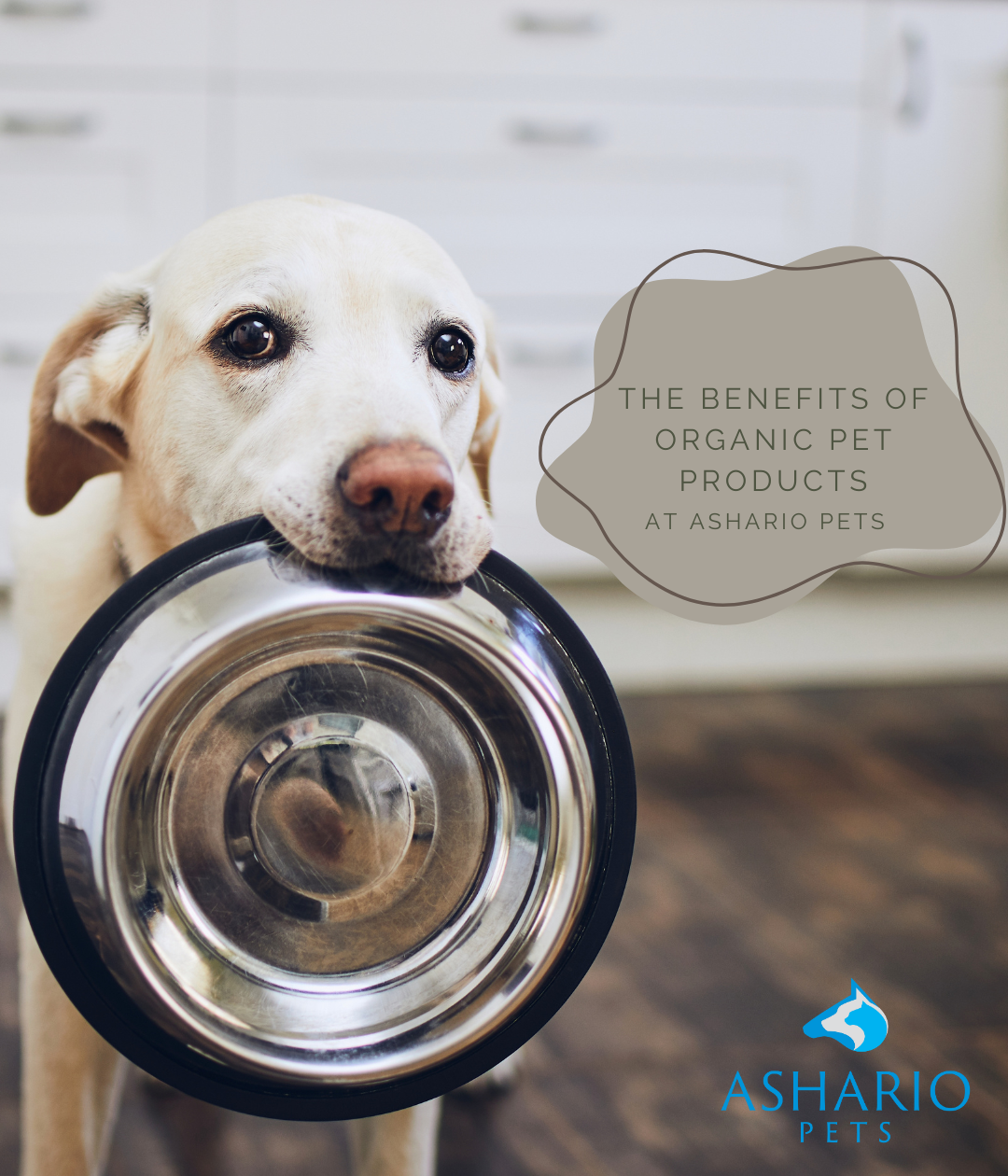 Discover the benefits of organic pet products at Ashario Pets, conveniently located in North York. With our commitment to quality and sustainability, we provide a wide range of premium supplies to support the well-being of your furry companions.