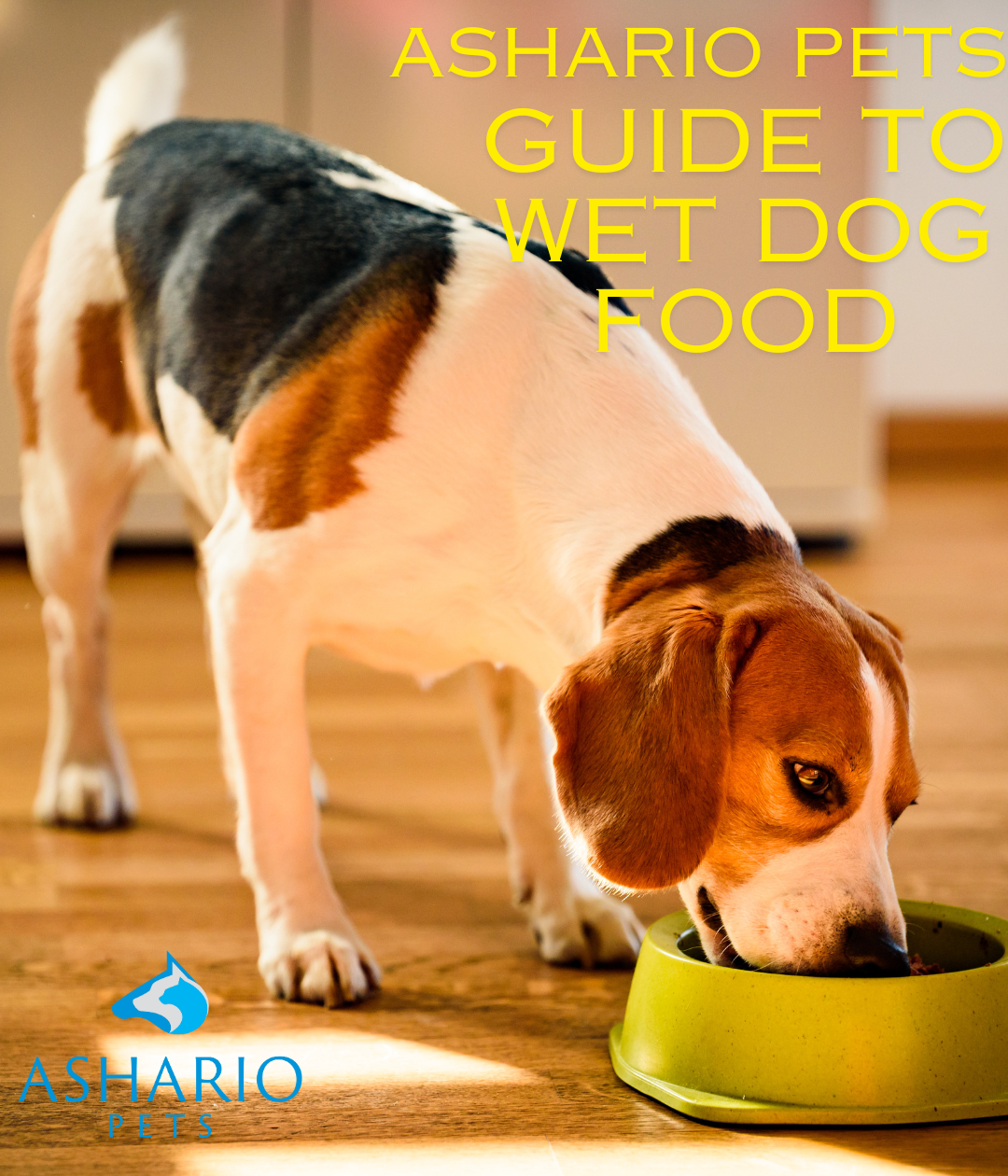 Explore Ashario Pets' extensive collection of the best wet dog food selections, available at our North York pet store. With a diverse pet store inventory, we prioritize premium options to meet your canine's nutritional needs. 