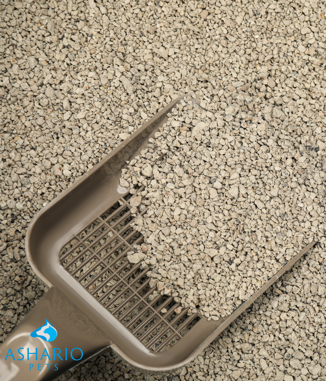 Discover Odourlock's tech with activated carbon core, clay & bentonite blend, and micro-pore tech for superior odour control. Find it all at Ashario Pet Store!