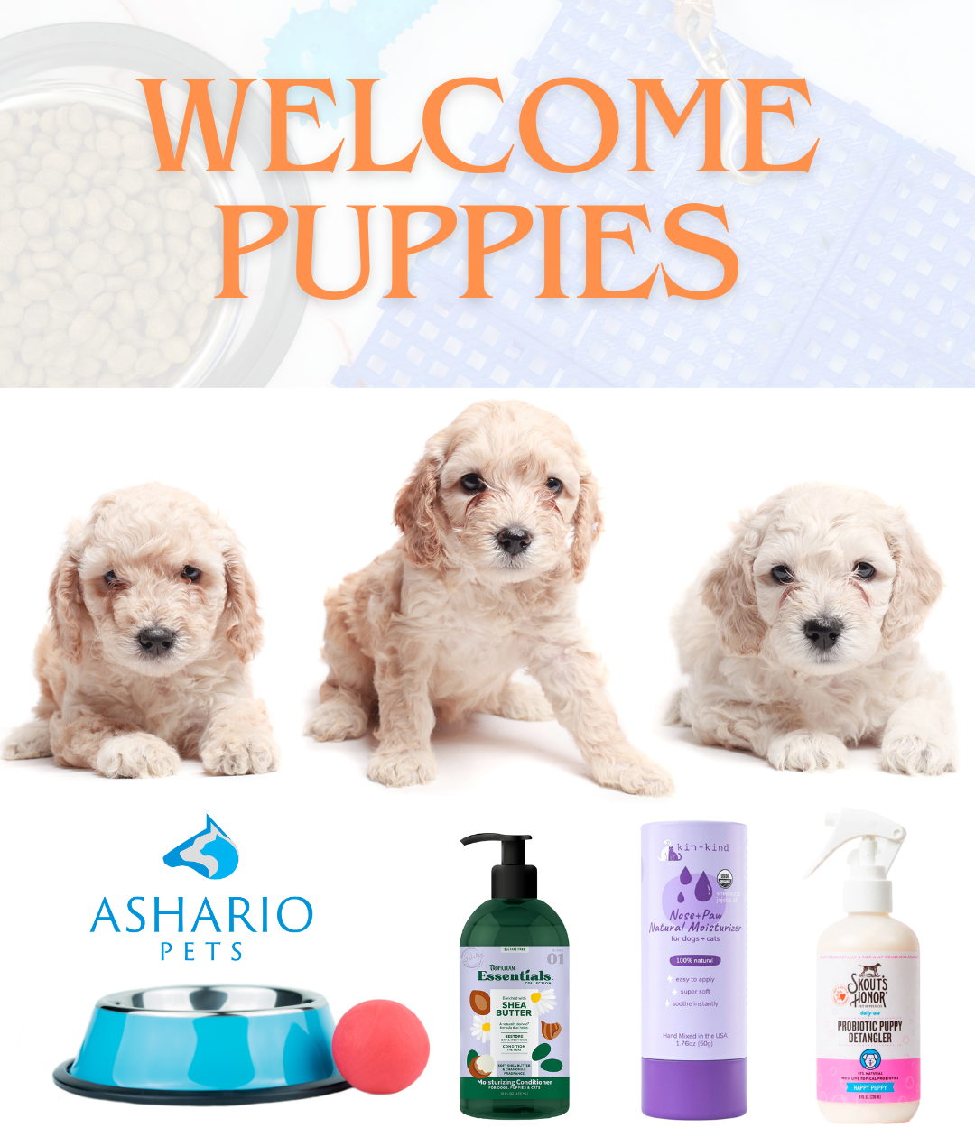 Discover top-notch dog grooming products at Ashario Pets, your premier pet store in North York. Our pet store inventory includes premium dog shampoo, organic pet food, and essential pet accessories.