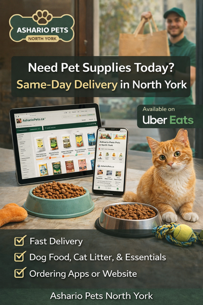 Need Pet Supplies Today? Ashario Pets Offers Same-Day Delivery via Uber Eats