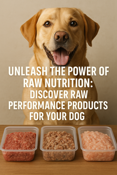 Why Choose Raw Nutrition for Your Dog's Health?