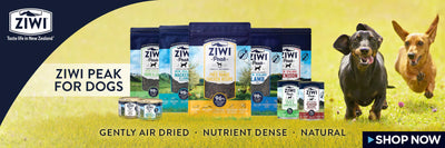 ZIWI