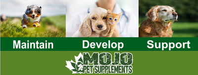 MOJO Pet Supplements