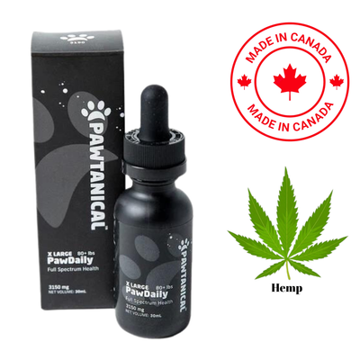 Pawtanical PawDaily Hemp Oil X-Large Dog, high-quality hemp oil supplement for extra-large dogs. Supports overall health and wellness with natural ingredients.	