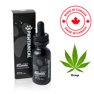 Pawtanical PawDaily Hemp Oil Large Dog, high-quality hemp oil supplement for large dogs. Supports overall health and wellness with natural ingredients.	