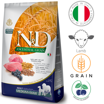 Farmina Ancestral Grain Lamb & Blueberry Medium & Maxi Dry Dog Food, rich in natural ingredients, supports overall health, promotes digestion, and enhances skin and coat health​​​​.