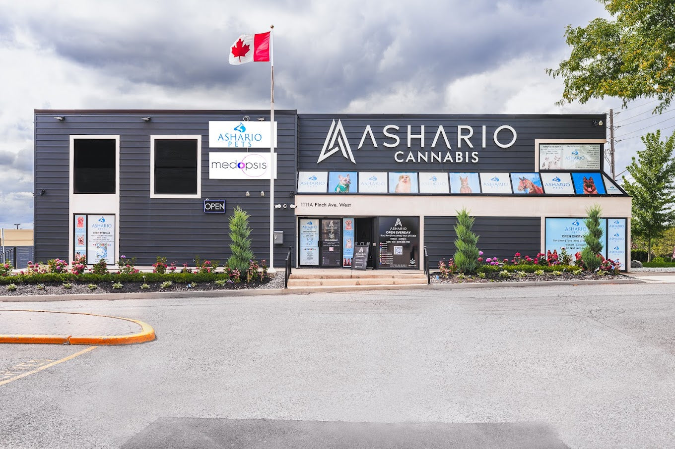 Image of Ashario Pet Store building at 1111A Finch Ave West Unit 2, North York, Toronto, offering pet supplies, pet food, and health & wellness products