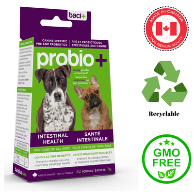 Baci+ Probio+ Intestinal Health for Dogs 14 Grams, high-quality probiotic supplement supports digestive health, aids nutrient absorption, reduces gastrointestinal issues, available for purchase at your pet store