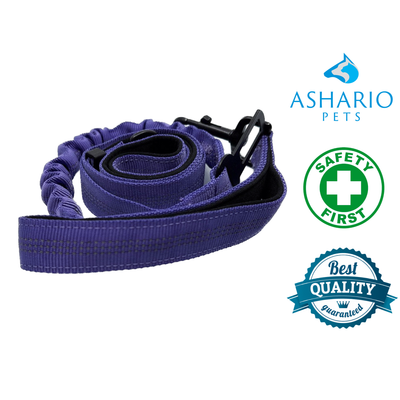 Ashario Pets SafeRide Pro Retractable Car Traction Belt in Purple