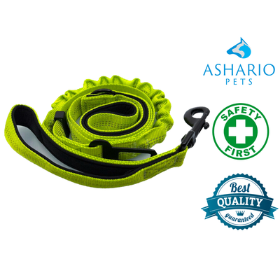 Ashario Pets neon green bungee leash for pet store use, ensuring safety and quality for dogs during walks and outdoor activities.