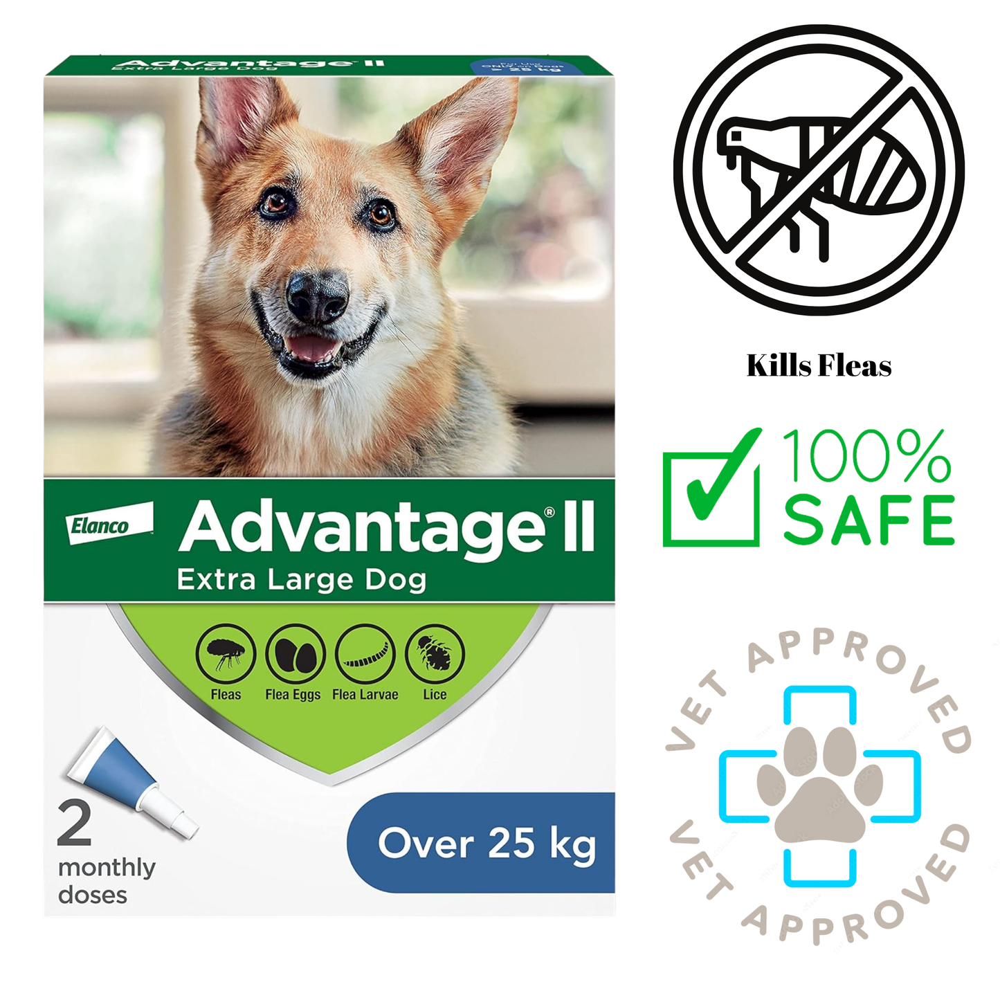 Box of Advantage II Extra Large Dog flea treatment, featuring a German Shepherd on the front, designed to kill fleas, flea eggs, flea larvae, and lice. This 100% safe, vet-approved treatment is essential for maintaining your dog's health and comfort.