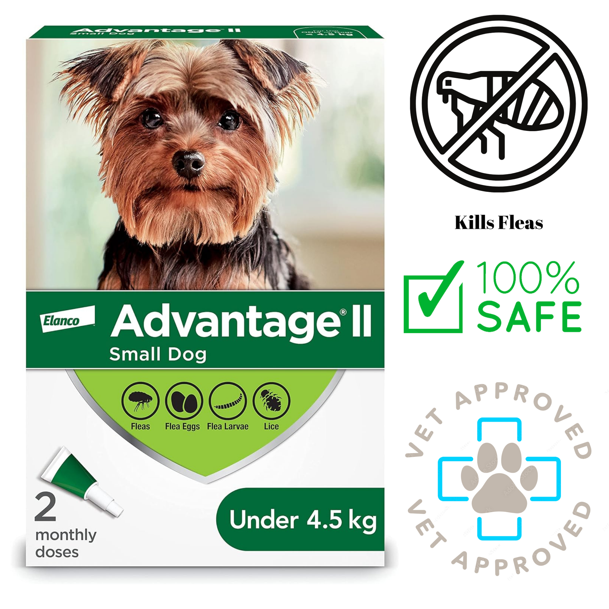 Box of Advantage II Small Dog flea treatment, featuring a Yorkshire Terrier on the front, designed to kill fleas, flea eggs, flea larvae, and lice. This 100% safe, vet-approved treatment is essential for maintaining your dog's health and comfort.