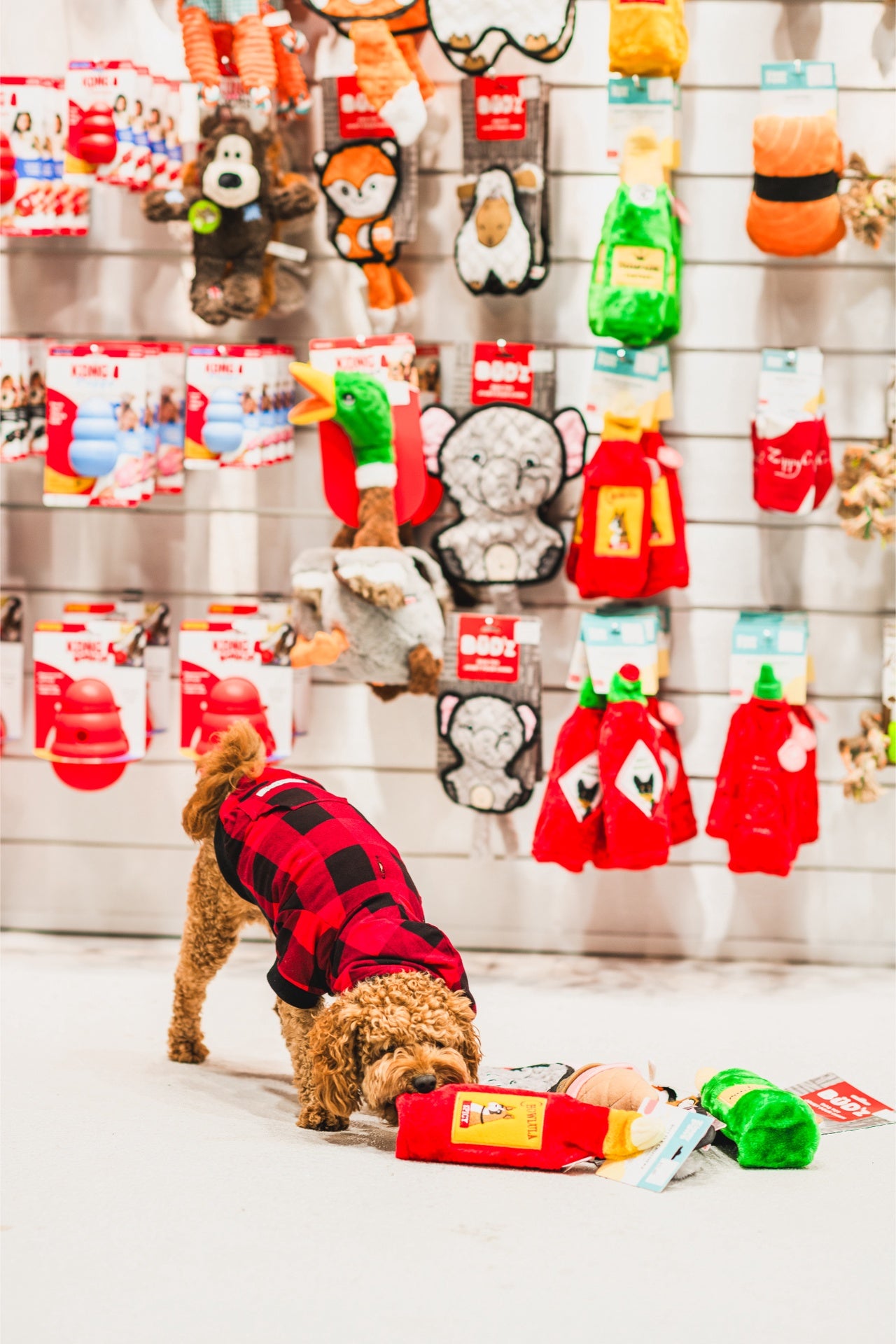 ZippyPaws Happy Hour Crusherz Champagne Dog Toy - Engaging toy that adds excitement to playtime, featuring a champagne-inspired design for dogs.