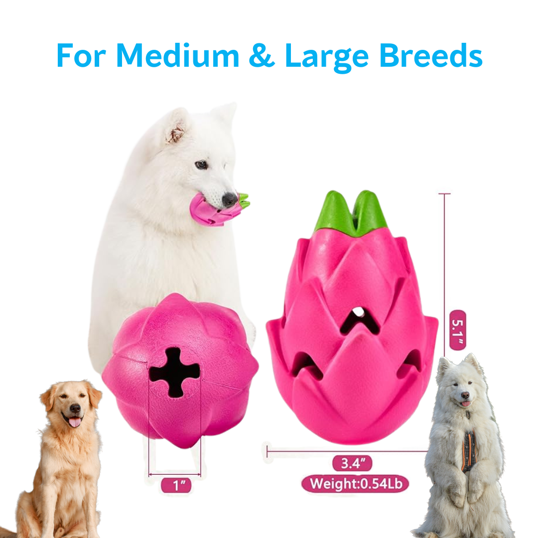 Durable and engaging Ashario Pets Dispenser Toy - Dragon Fruit, perfect for dental hygiene and stress relief