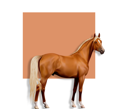 Illustration of a majestic brown horse with a long, flowing mane and tail, standing against a terracotta background.